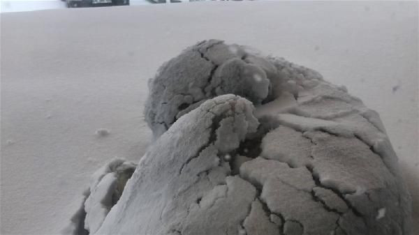 Gören gözlerine inanamadı! Lapa lapa yağan kar, sokak köpeğine 'örtü' oldu - Resim: 3