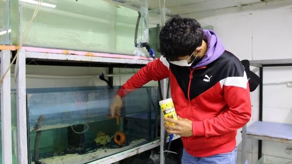 Antalya'da üretti Gana'dan sipariş yağdı! Masaj etkisi yaratıyor - Resim: 4