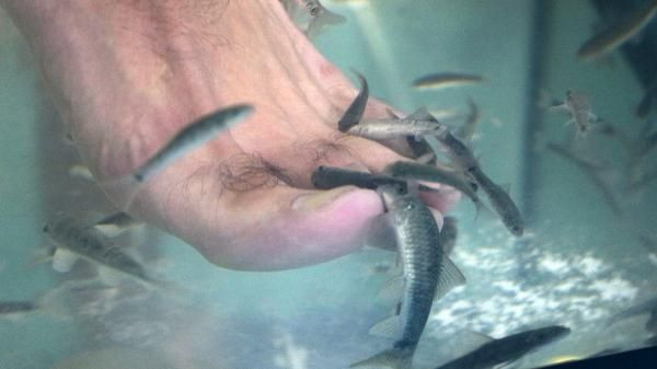 Antalya'da üretti Gana'dan sipariş yağdı! Masaj etkisi yaratıyor - Resim: 3