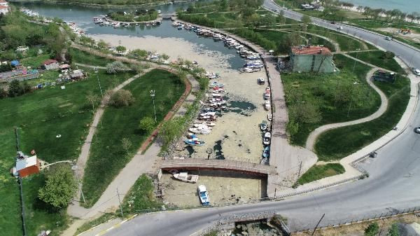 Marmara'da 'salya' kabusu! İstanbul sahillerini sardı kokudan durulmuyor! Avşa Adası ve Erdek Körfezi de... - Resim: 3