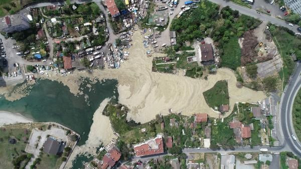 Marmara'da 'salya' kabusu! İstanbul sahillerini sardı kokudan durulmuyor! Avşa Adası ve Erdek Körfezi de... - Resim: 4