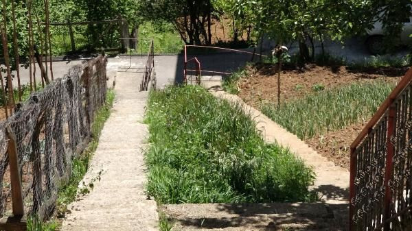 Trabzon'da görenler merak edip soruyor! Karadeniz inadı yüzünden çok masraf yaptılar - Resim: 4