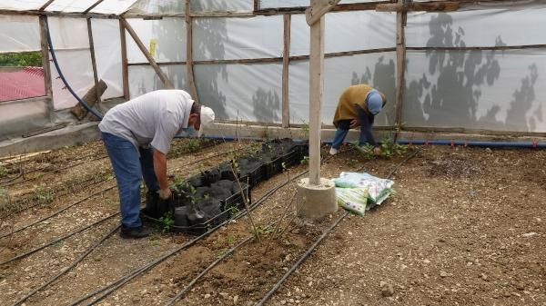 Trabzon'da birkaç günde tükendi! 3 yıl deneyip başardı kilosunu 50 TL'den satıyor - Resim: 2