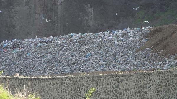 'Banyo bile yapamıyoruz' deyip isyan etti! Giresun'da iğrenç görüntü hayatlarını kabusa çevirdi - Resim: 2