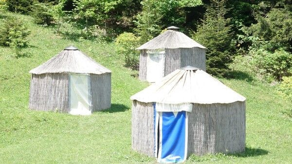 Trabzon'da burada 10 günlük tatil bedava! Sadece tek bir şart var - Resim: 4