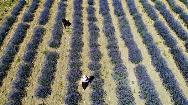 Kızı teşvik etti emekli öğretmenin çocukluk hayali gerçek oldu! Tunceli'de gelir elde ediyor - Resim: 1