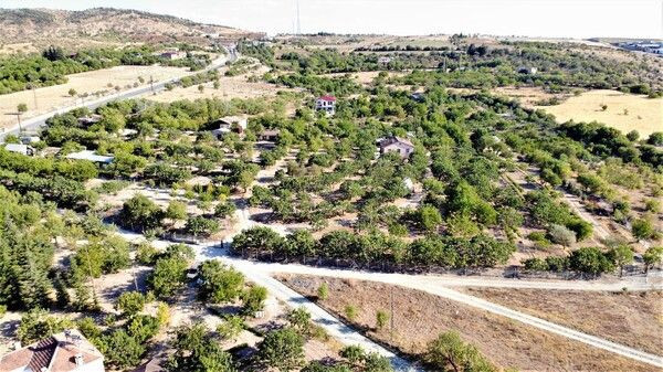 Elazığ'da bir ilk! 'Yetişmez' denildi hobi olarak başladı: Şimdi ABD'den sipariş yağıyor - Resim: 3