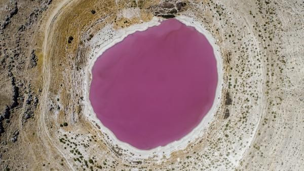 Her yıl pembe oluyordu! Konya'daki gölün son halini görenler şaştı kaldı sebebi ise... - Resim: 2