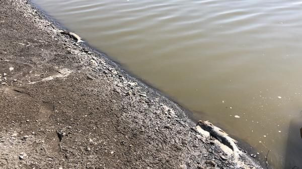 Sular çekilince korkutan görüntü ortaya çıktı: Bu yıl ilk defa... - Resim: 4