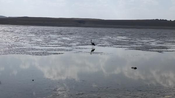 Sular çekilince korkutan görüntü ortaya çıktı: Bu yıl ilk defa... - Resim: 1