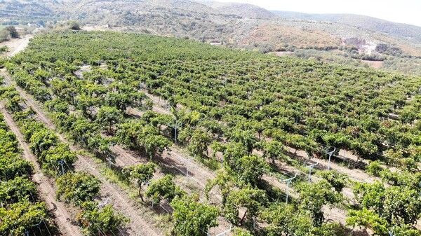 Tokat'ta kravattan sıkılıp bu işe başladı! Bölgede tek oldu: Sipariş yağıyor - Resim: 2