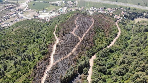 Sakarya Adapazarı'nda çıkan yangından geriye kalan acı görüntüler... Alevlerden kaçamadı - Resim: 4