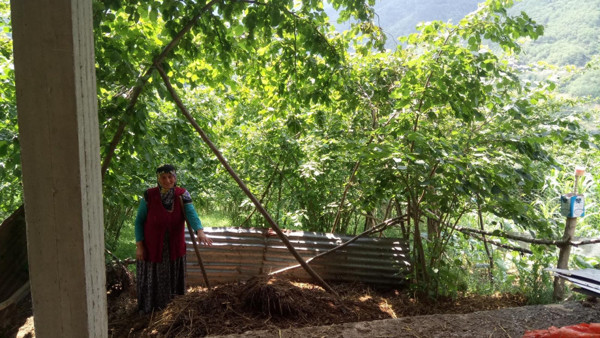 Trabzon'da kötü kokuyor diye CİMER'e şikayet ettiler - Resim: 0
