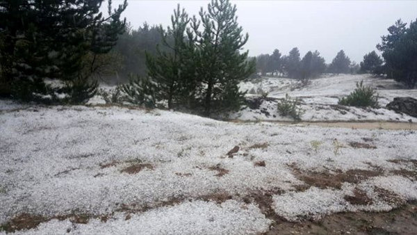 Kastamonu'da şiddetli dolu tarım arazileri büyük zarar gördü - Resim: 0