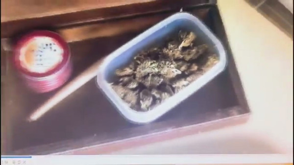 Büyükada'da Uyuşturucu operasyonu! 4 kişiye gözaltı - Resim: 1