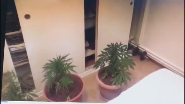 Büyükada'da Uyuşturucu operasyonu! 4 kişiye gözaltı - Resim: 0