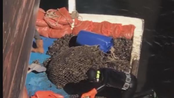 İstanbul'da panik yaratacak görüntüler! Zehirli midyeleri toplarken fotoğraflandılar - Resim: 0