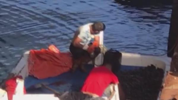 İstanbul'da panik yaratacak görüntüler! Zehirli midyeleri toplarken fotoğraflandılar - Resim: 3