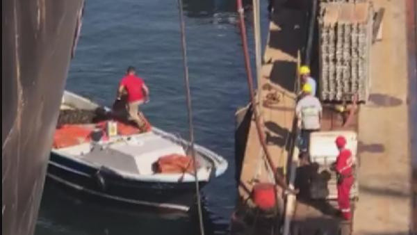 İstanbul'da panik yaratacak görüntüler! Zehirli midyeleri toplarken fotoğraflandılar - Resim: 1