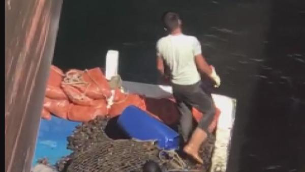 İstanbul'da panik yaratacak görüntüler! Zehirli midyeleri toplarken fotoğraflandılar - Resim: 4