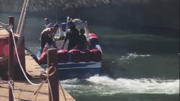 İstanbul'da panik yaratacak görüntüler! Zehirli midyeleri toplarken fotoğraflandılar - Resim: 2