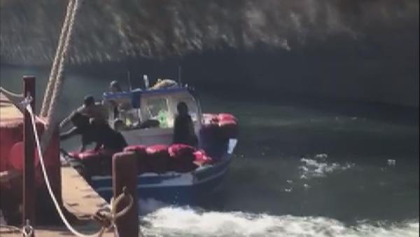 İstanbul'da panik yaratacak görüntüler! Zehirli midyeleri toplarken fotoğraflandılar - Resim: 5