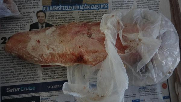 Devenin sucuğundan sonra diline büyük ilgi! İdrar kaçırma hastalığına iyi geliyor - Resim: 2