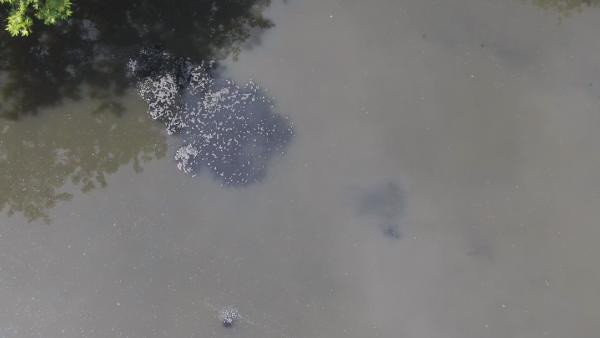 Dünyada ilk kez Türkiye'de incelendi! Çamurda koronavirüse rastlandı - Resim: 0