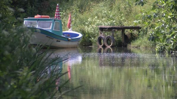 Dünyada ilk kez Türkiye'de incelendi! Çamurda koronavirüse rastlandı - Resim: 1