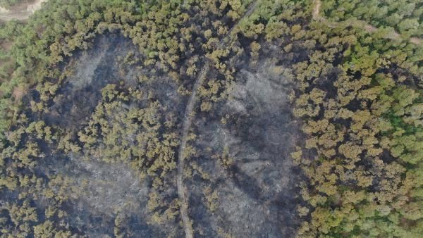 Savcılıktan Heybeliada açıklaması: Yangın 25 dakika arayla iki yerde çıktı - Resim: 0