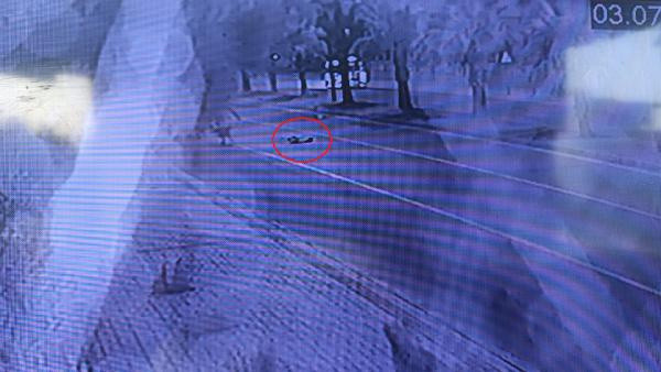 Mersin'de köpeğe çarpıp ölümüne neden olan sürücü kaçtı - Resim: 0