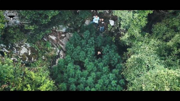 Zonguldak'ta operasyon! Polis dronla tespit etti - Resim: 0