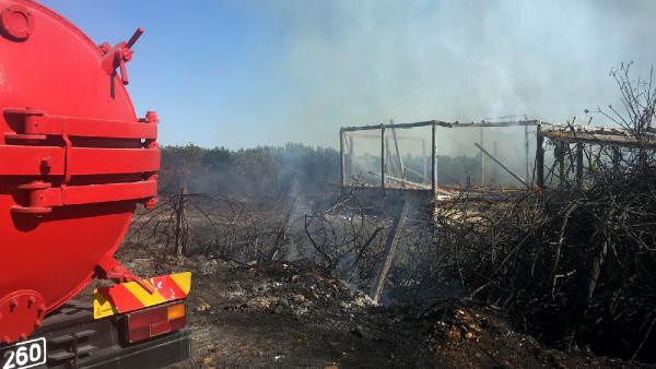Antalya'da korku dolu dakikalar! Hamamda başlayan yangın ağaçlık alana sıçradı - Resim: 0