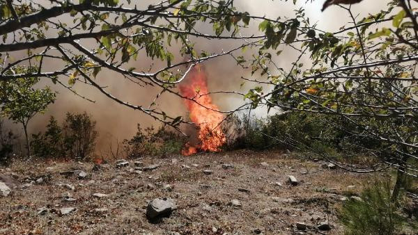 Adana'daki yangında 6 köy boşaltıldı - Resim: 2