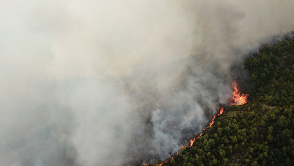Hatay'da korkutan yangın yerleşim yerlerine yaklaştı - Resim: 1