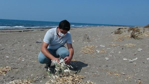 Kum zambaklarını koparmanın cezası 73 bin TL - Resim: 1