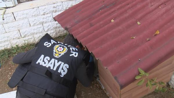 Sarıyer'de tüyler ürperten olay! Sahiplendikleri köpeklere işkence ettiler - Resim: 0