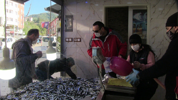 Artvin'de hamsinin fiyatı düştü! Duyan akın etti sıra oldu - Resim: 1