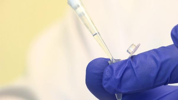 Ankara'da bilim insanları müjdeyi duyurdu! Deney başarıyla sonuçlandı koronayı bitirecek - Resim: 1