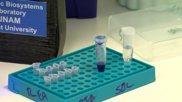 Ankara'da bilim insanları müjdeyi duyurdu! Deney başarıyla sonuçlandı koronayı bitirecek - Resim: 3