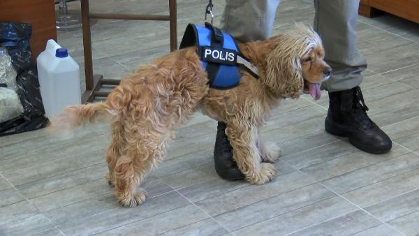 İstanbul'da pes dedirten olay! Bu kitaplara emdirdikleri şeyi öğrenince çok şaşıracaksınız - Resim: 2