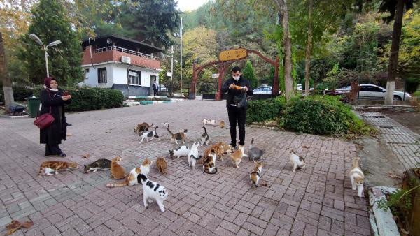 Piknik yapmak yasaklandı! Osmaniye'de yasak en çok onları vurdu - Resim: 0
