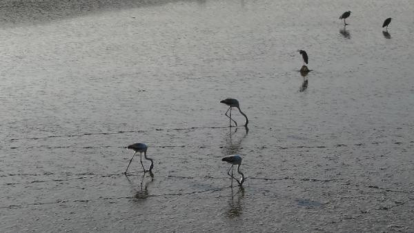İstanbul'da suyun yüzde 80'i kurudu! Gelecek günler çok karanlık - Resim: 2
