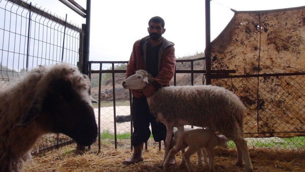 Antalya'da hayatının hatasını yaptılar! Dikkatsizlikleri pahalıya patladı - Resim: 0
