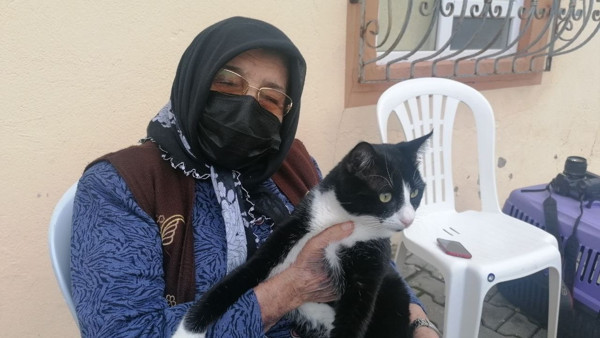 Antalya'da okşarken sertliği fark etti! Röntgen çektirip gerçeği öğrenince şok oldu - Resim: 0