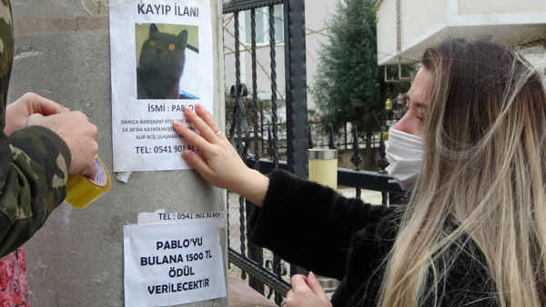 Kocaeli'de gece gündüz sokak sokak arıyor! Bulan 1500 TL kazanacak - Resim: 1