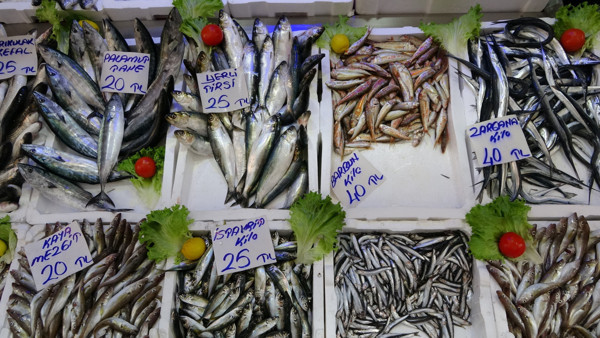 Ordu'da hamsi fiyatı cep yakıyor talep düştü! Rağbet o balığa kaydı - Resim: 0