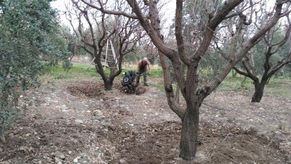 Mersin'de korkunç olay! 15 yaşındaki çocuk kanlar içinde kaldı - Resim: 0