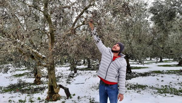 Bursa'da 36 yıldır ilk kez yaşandı! Büyük hasar verdi: Yanmalar meydana geliyor - Resim: 1