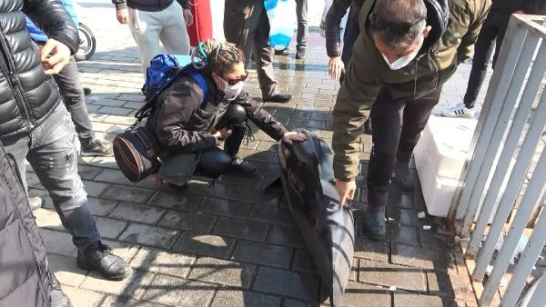 Karaköy İskelesi'nde ölü yunus bulundu - Resim: 0